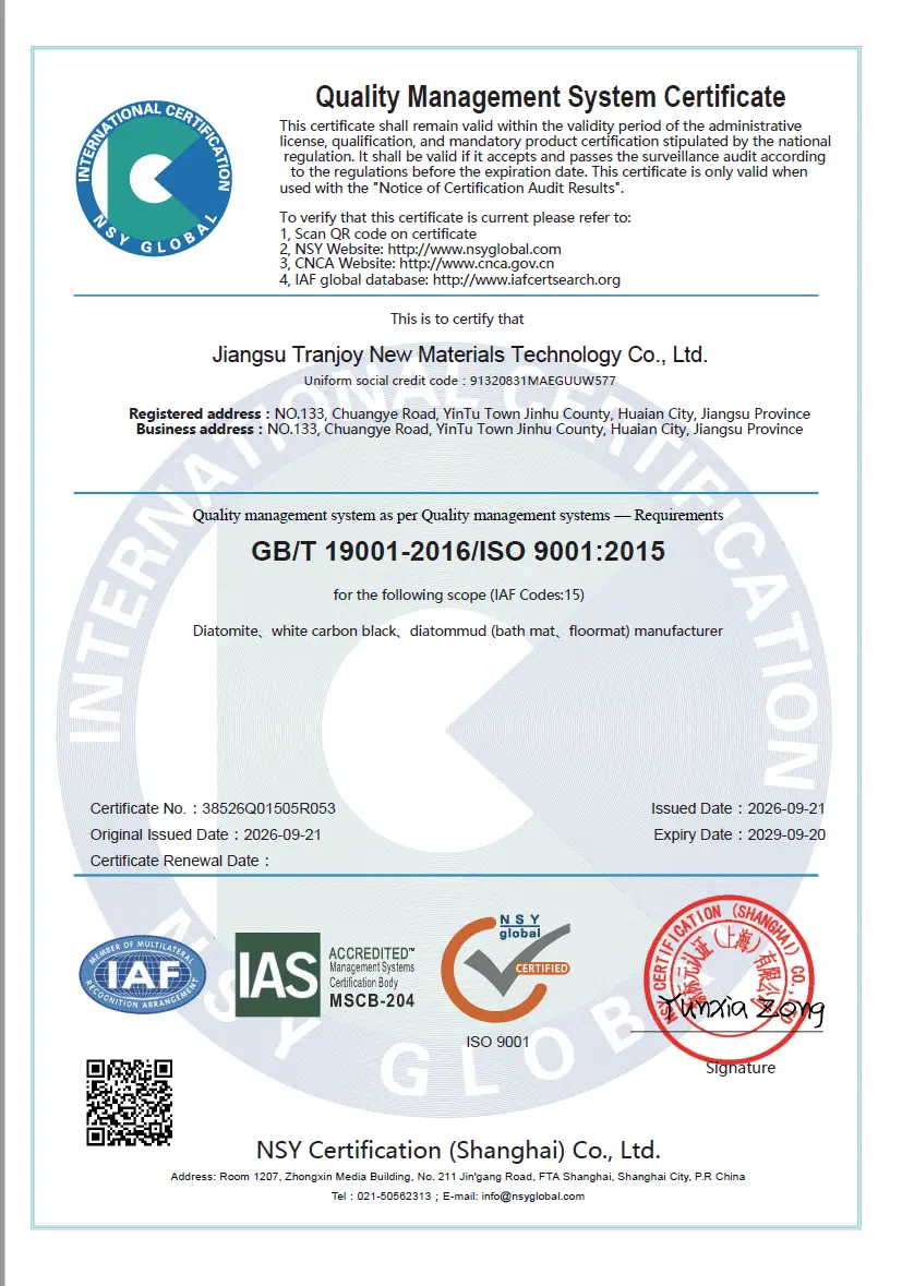 ISO 9001